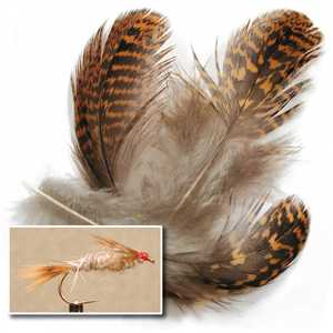PLC Pêche à la mouche - Plume d'aile de faisane VENIARD PLC Pêche à la mouche - Plume d'aile de faisane VENIARD
