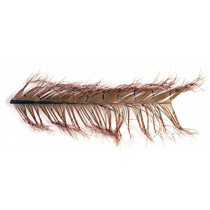 VENIARD COCK PHEASANT KNOTTED TAILS